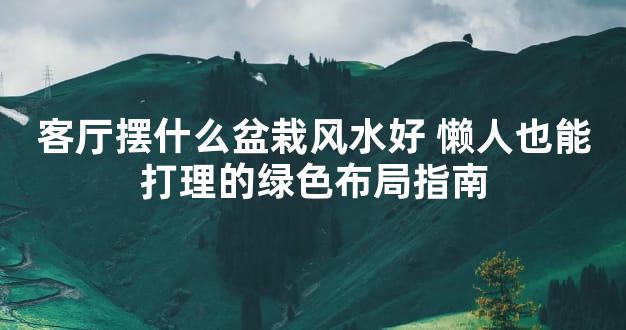 客厅摆什么盆栽风水好 懒人也能打理的绿色布局指南